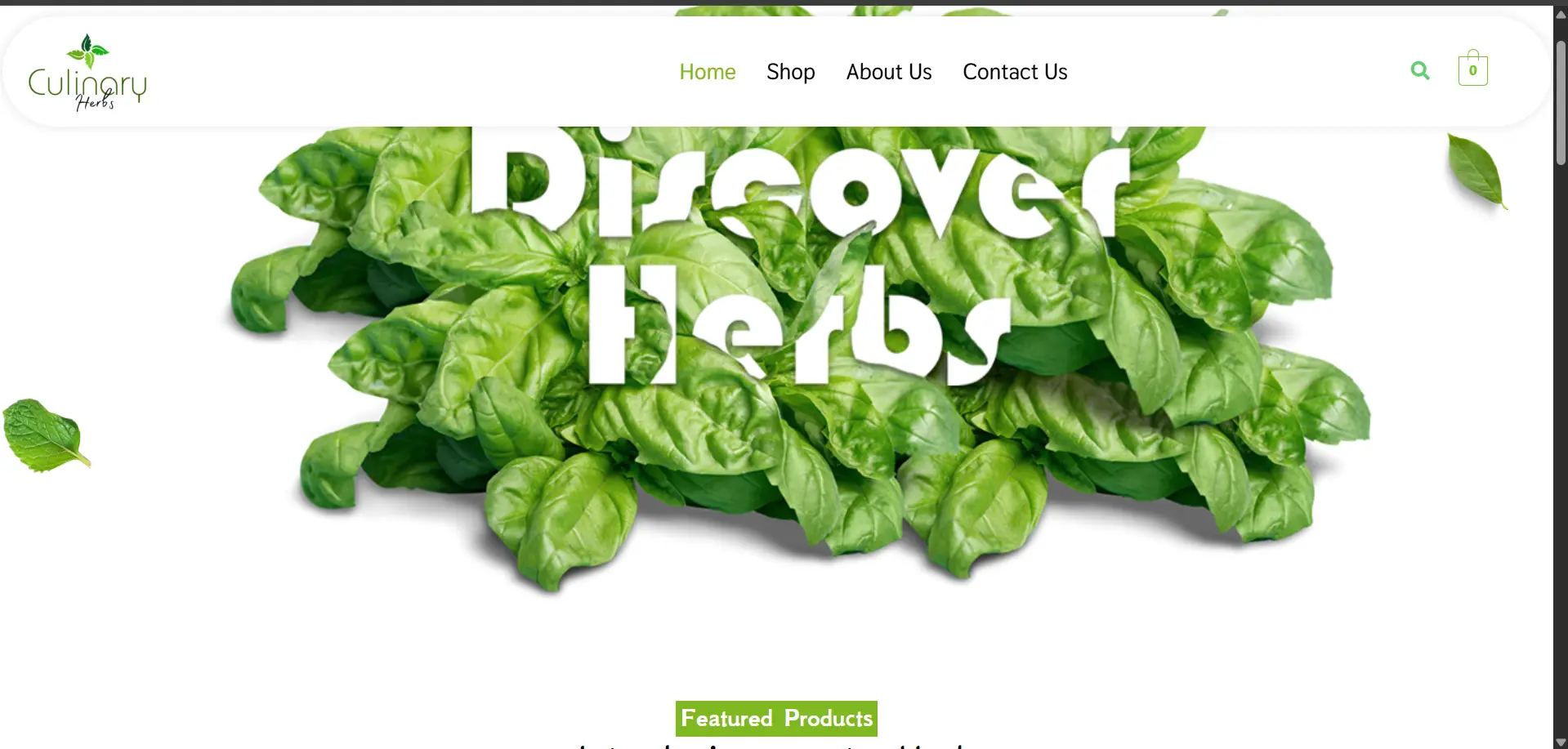 Culinary Herbs India Project