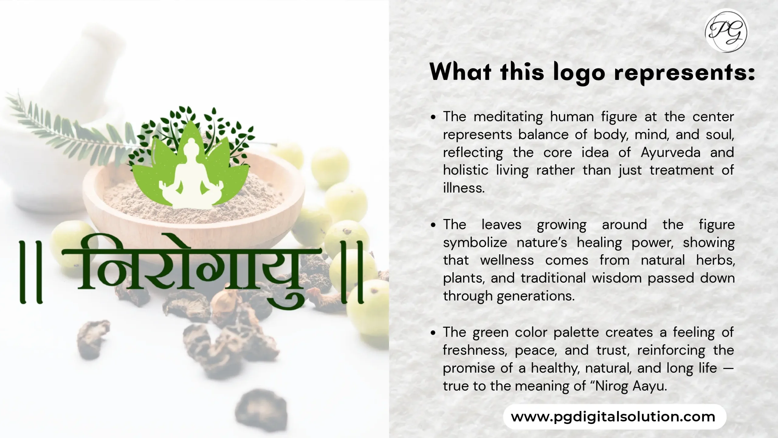 Pro Level Logo Design