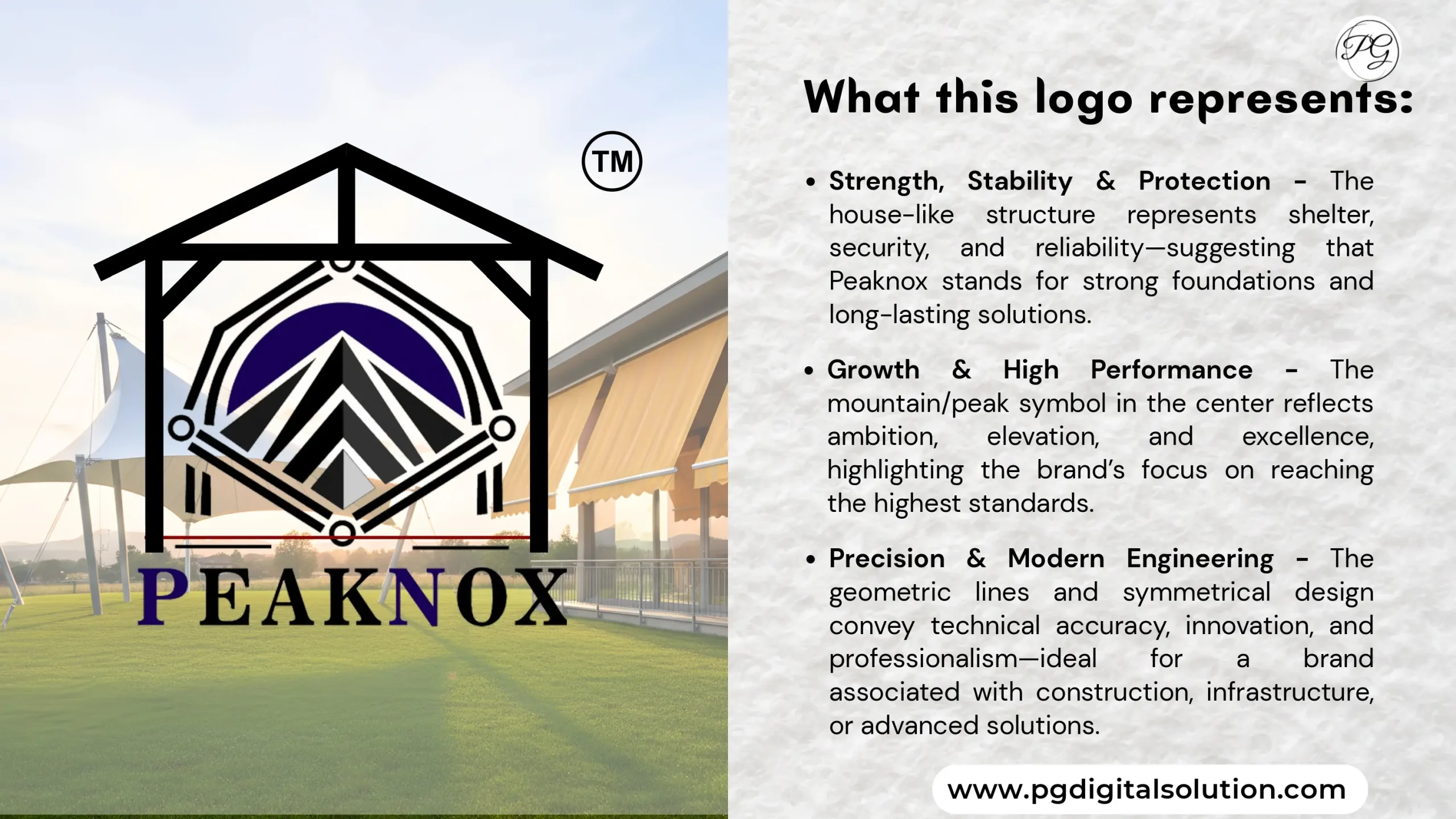 Pro Level Logo Design