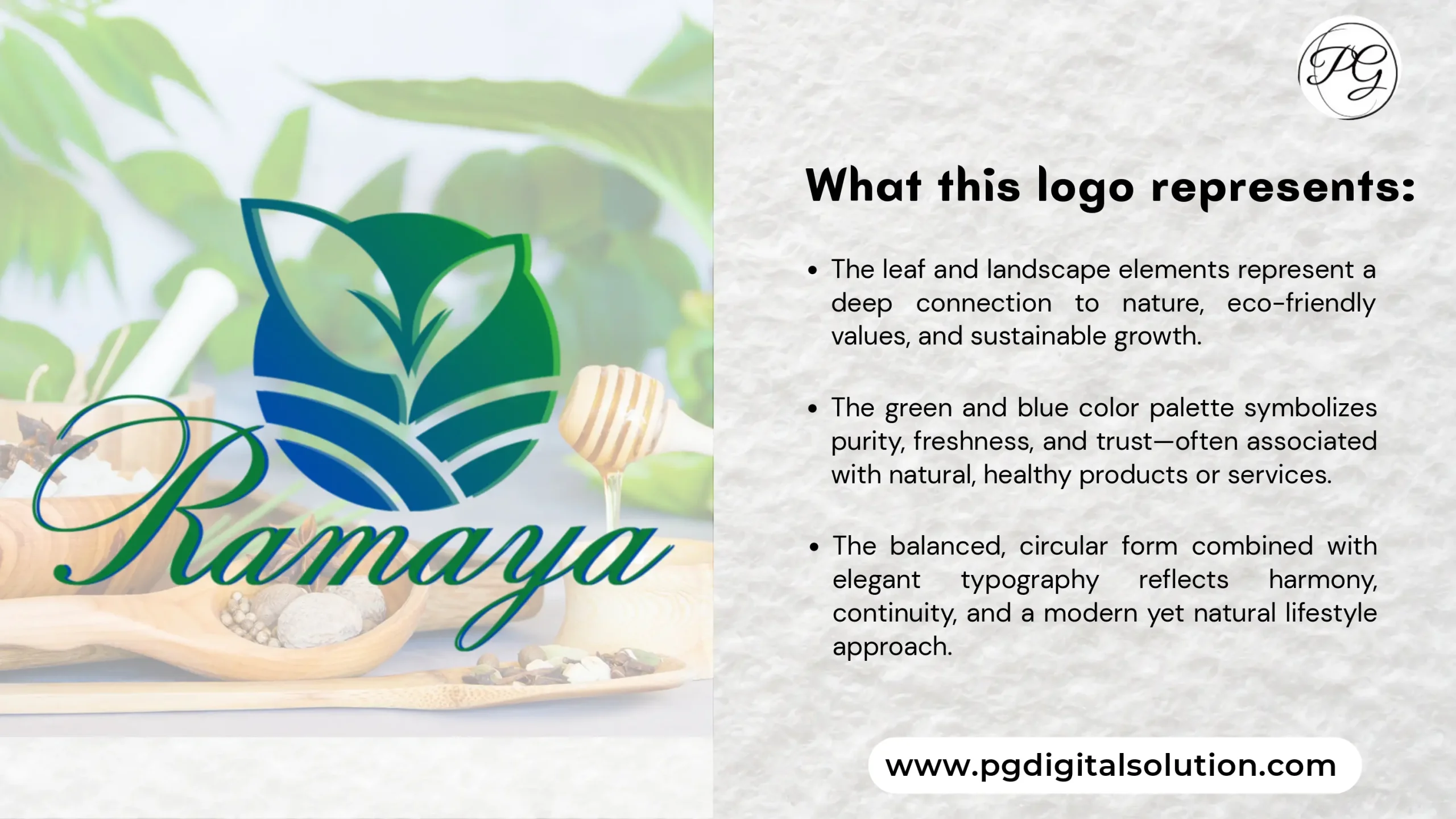 Pro Level Logo Design