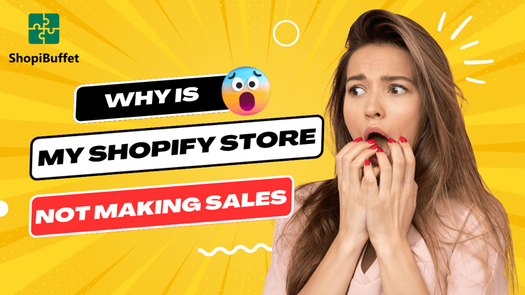 why-is-my-shopify-store-not-making-sales